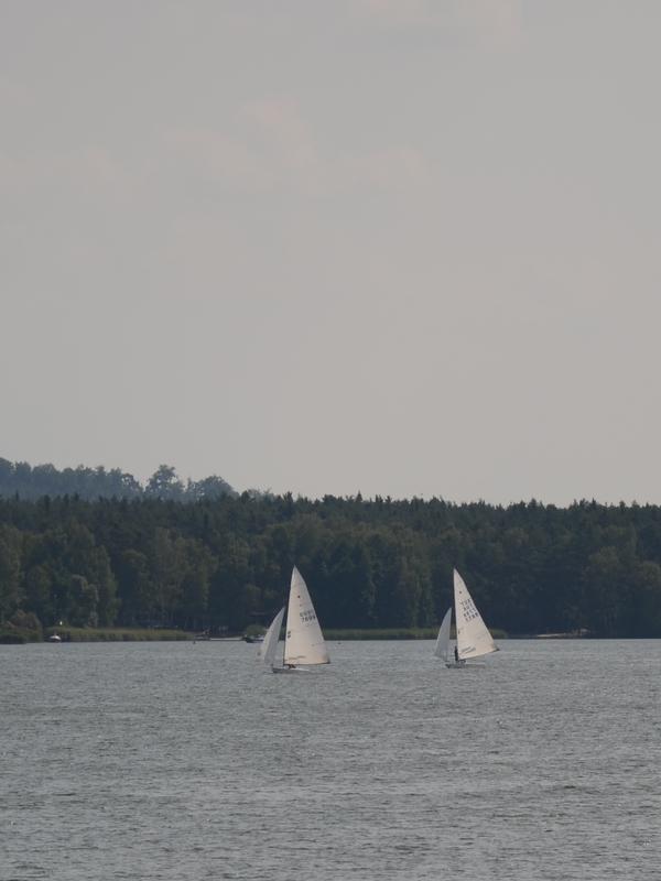 DSC_0806.JPG