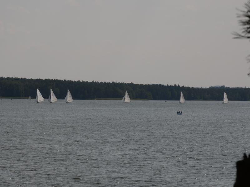 DSC_0803.JPG