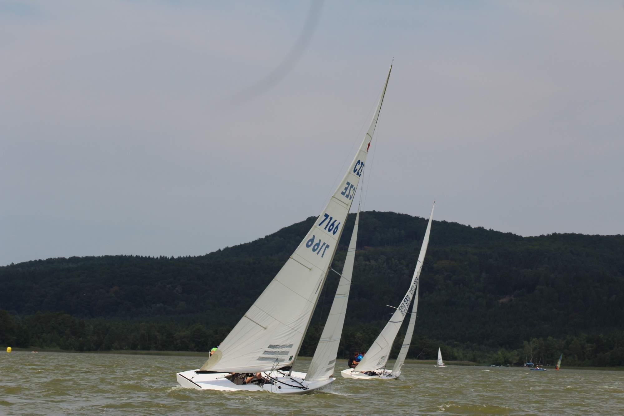 IMG_7983.jpg