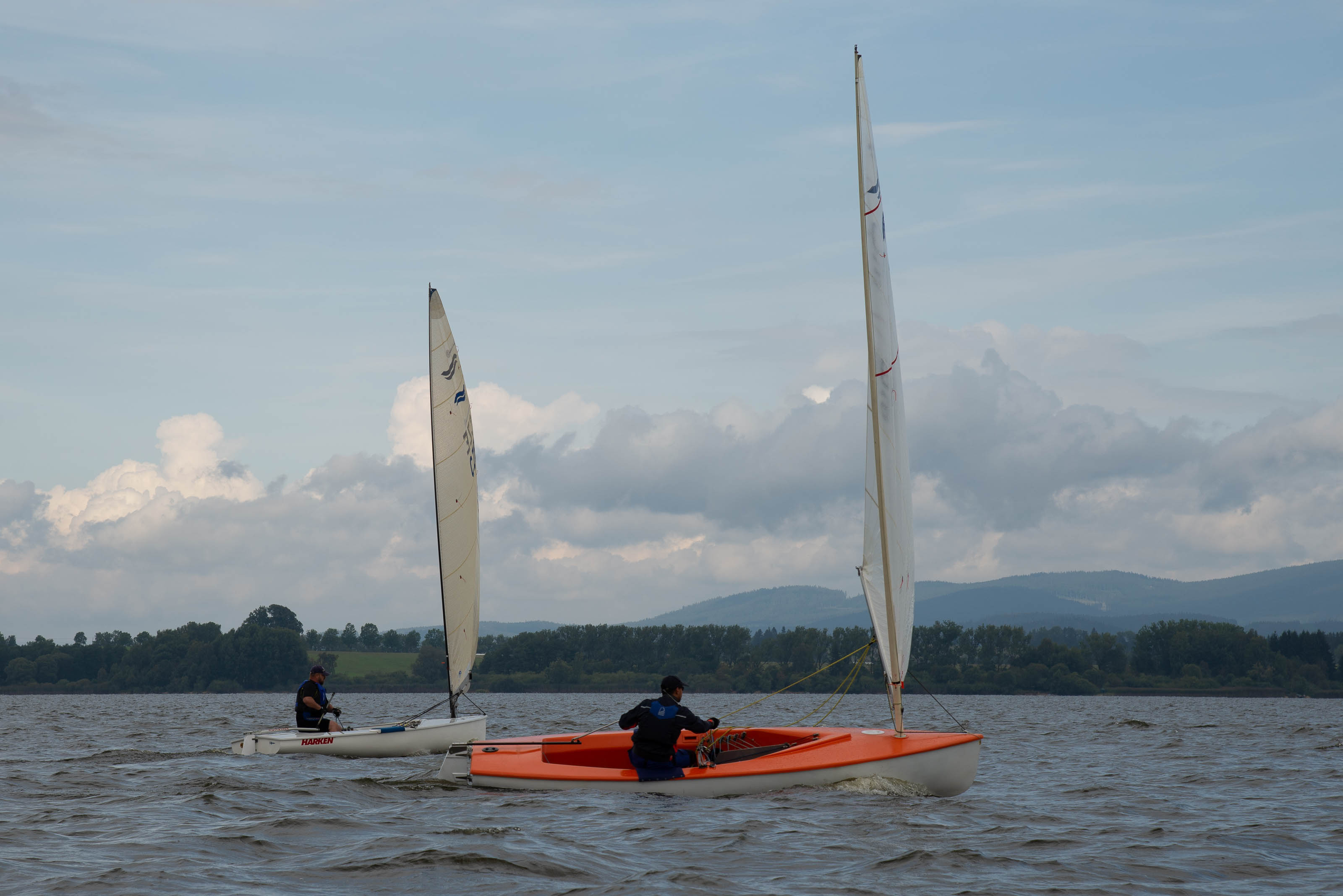 DSC_0352.jpg
