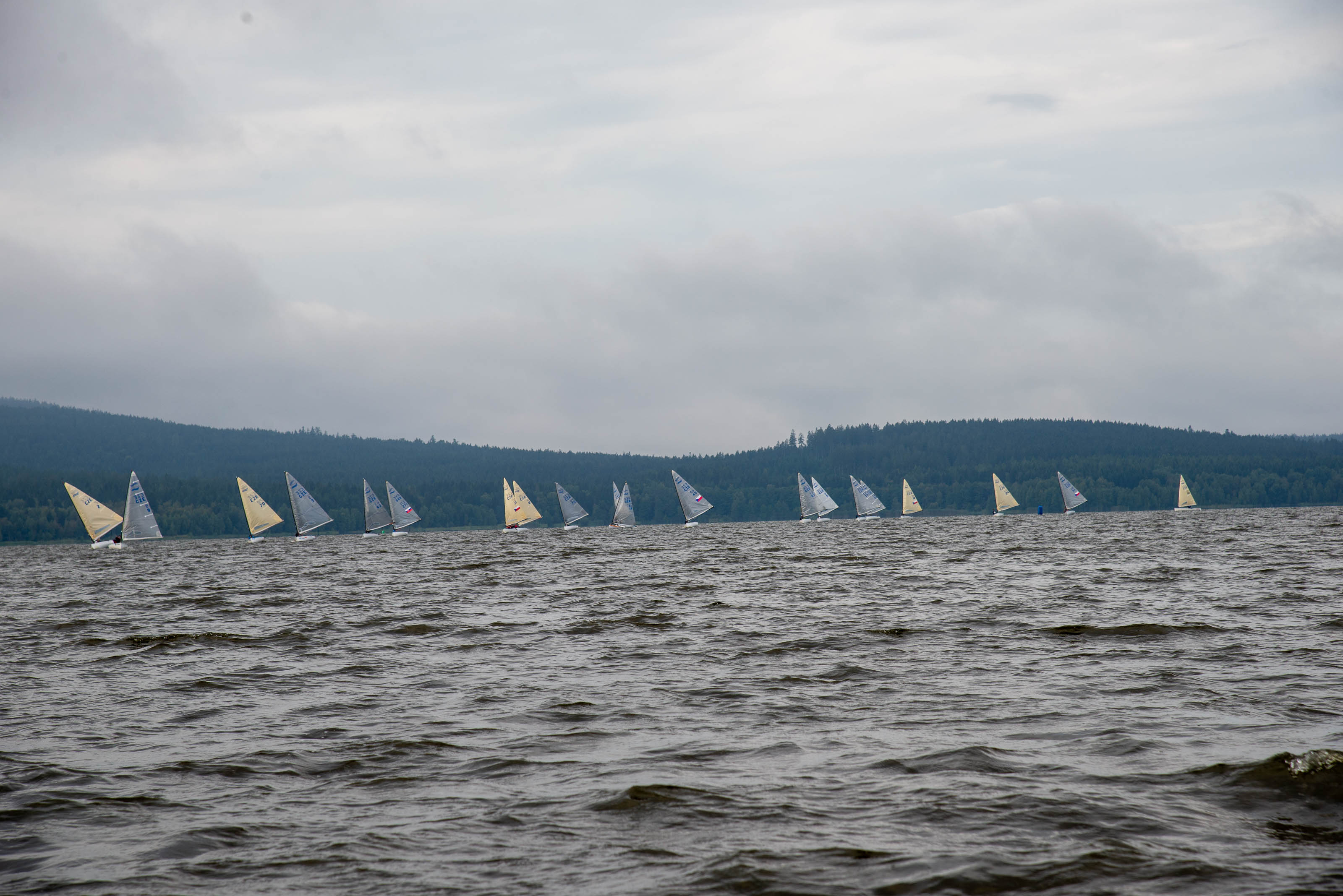 DSC_0150.jpg