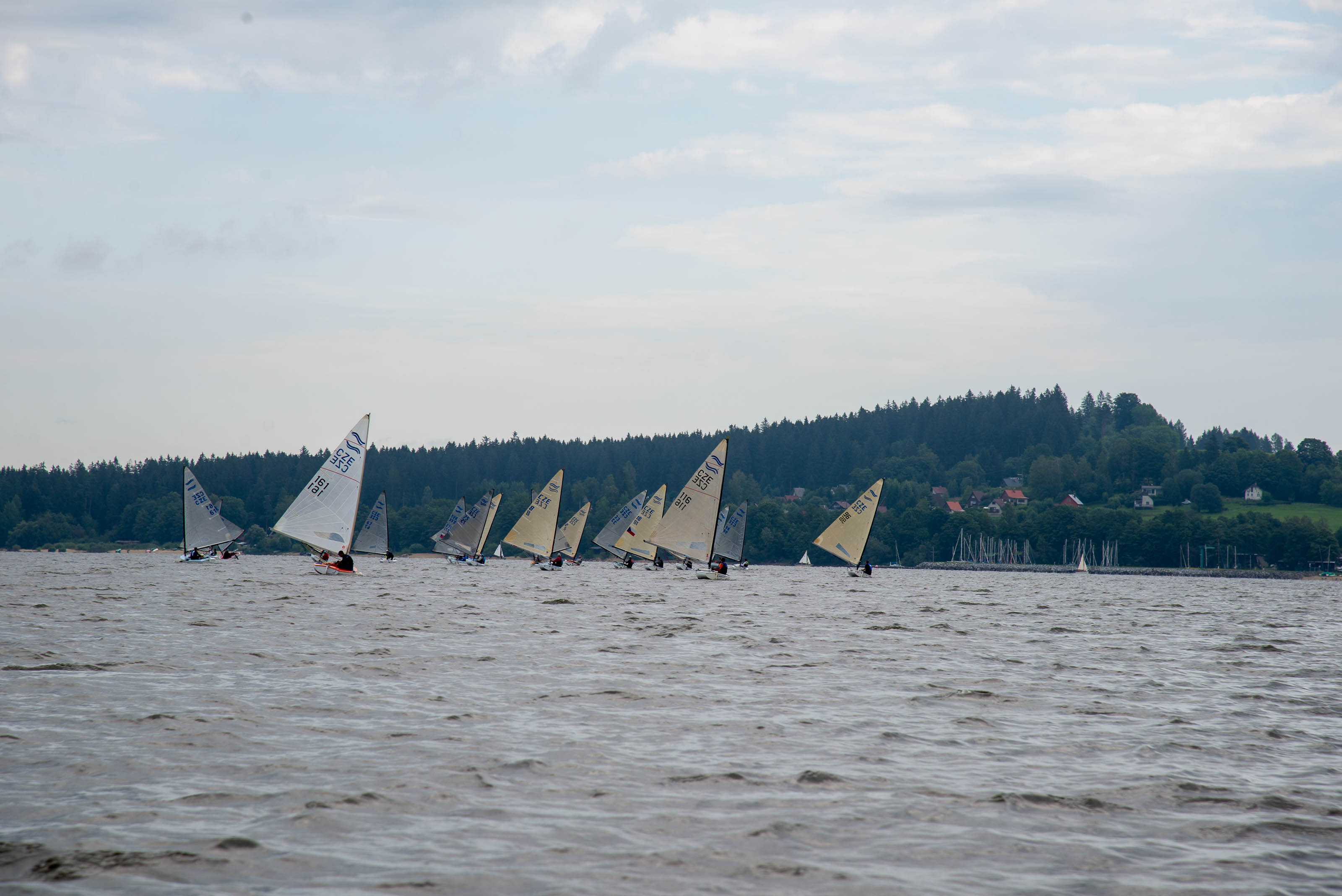 DSC_0229.jpg