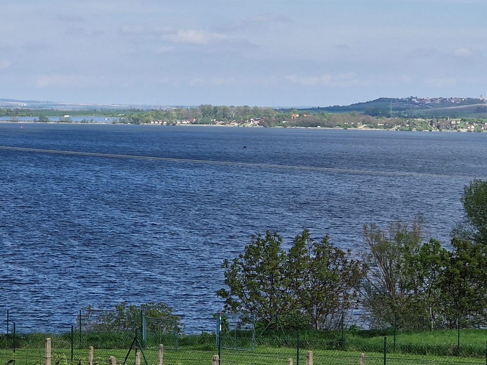 IMG-20230507-WA0007.jpg