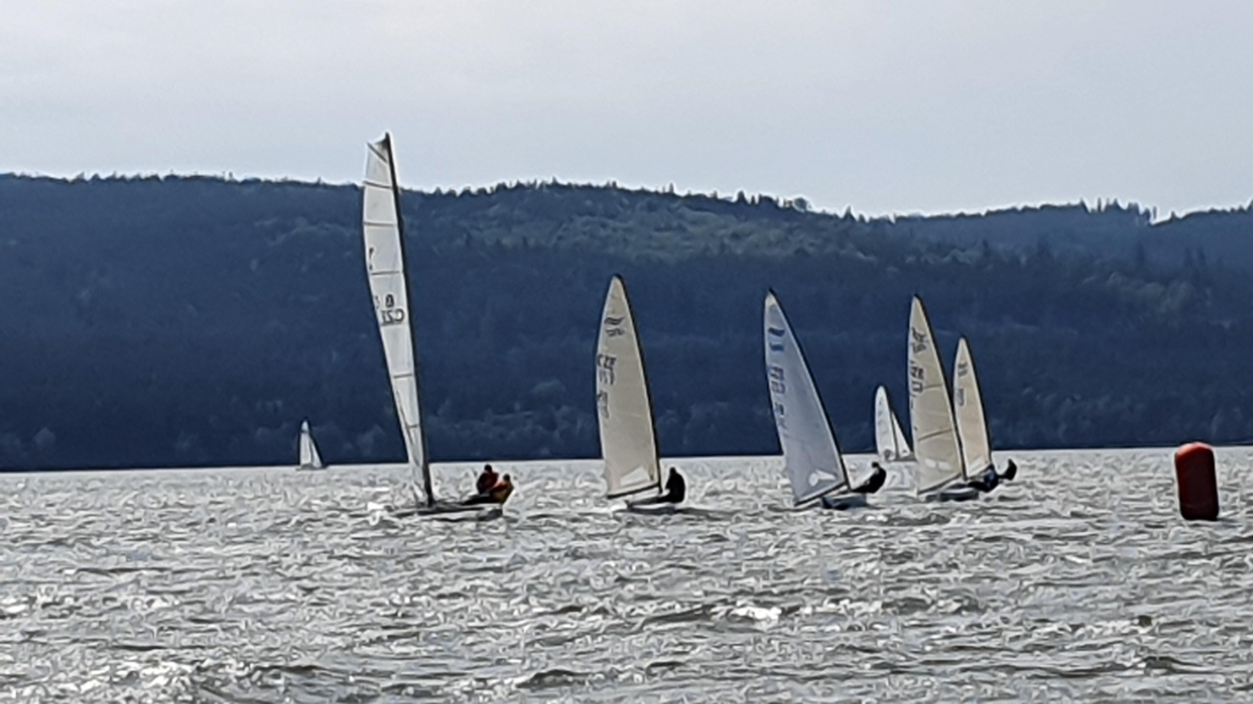 20190901_122559.jpg