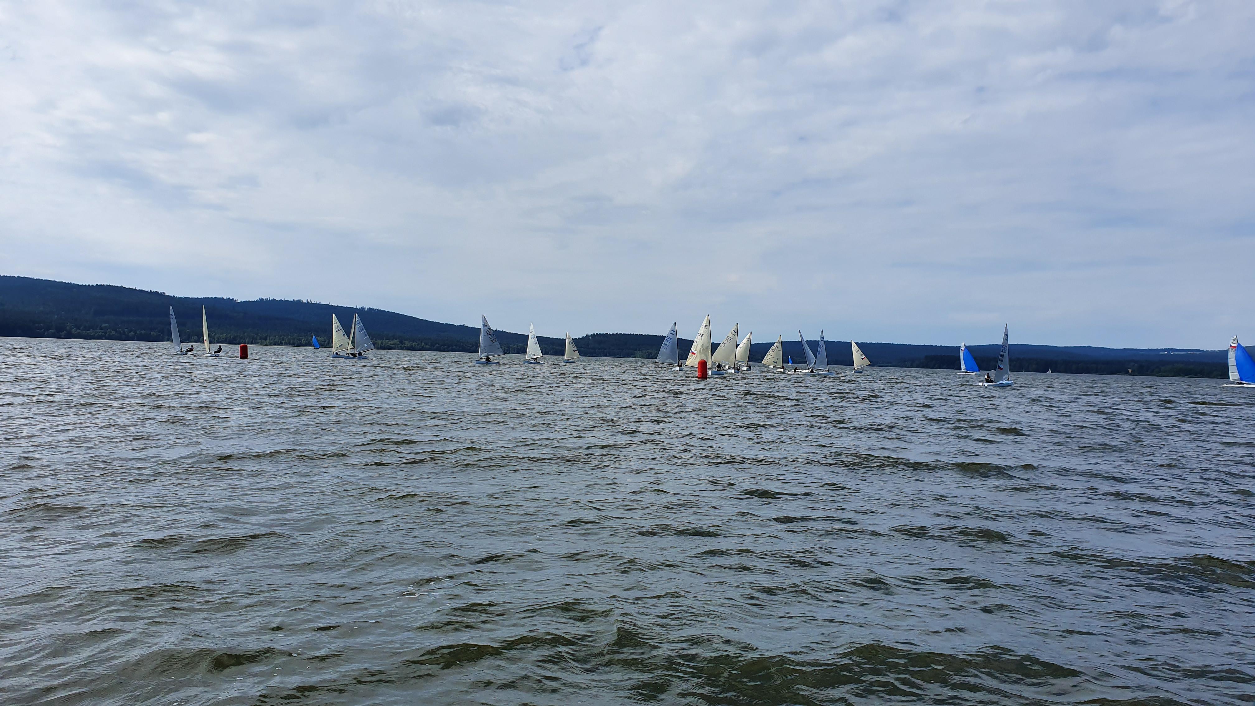 20190901_104935.jpg