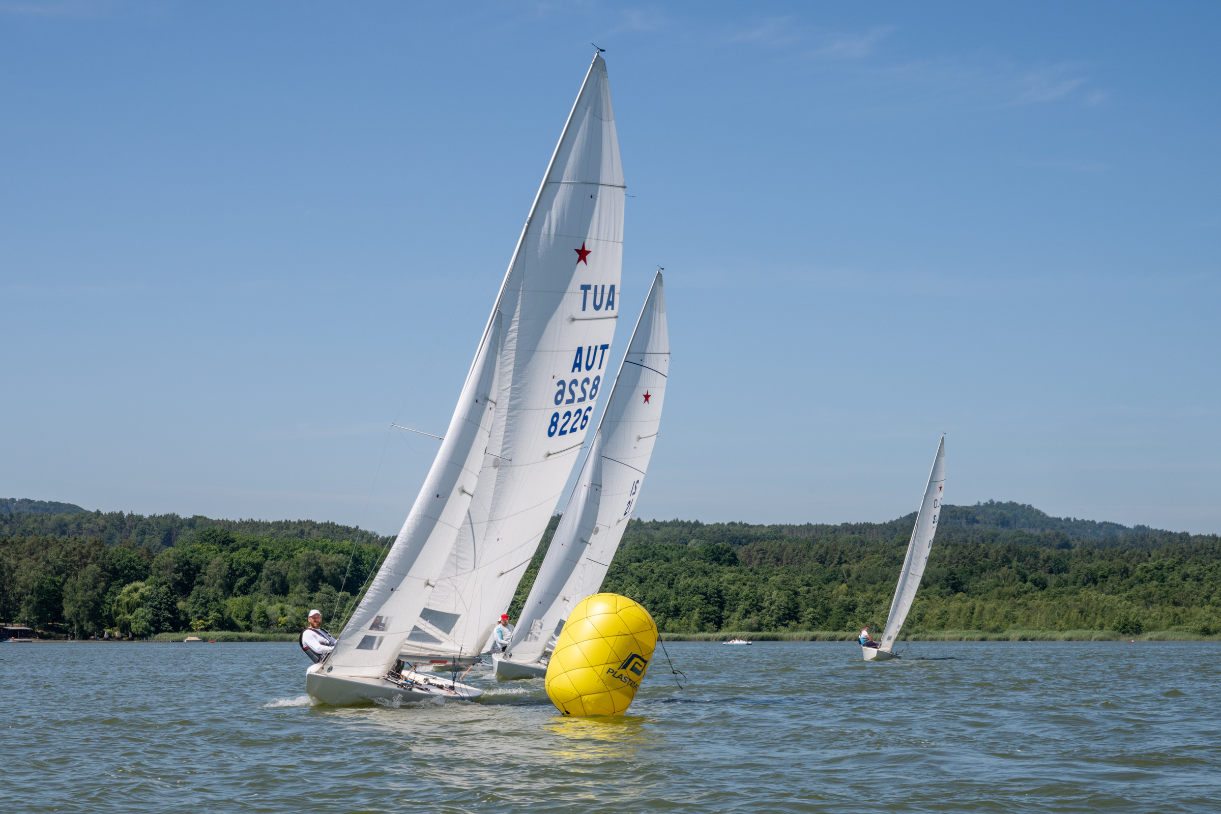 DSC_0595.jpg