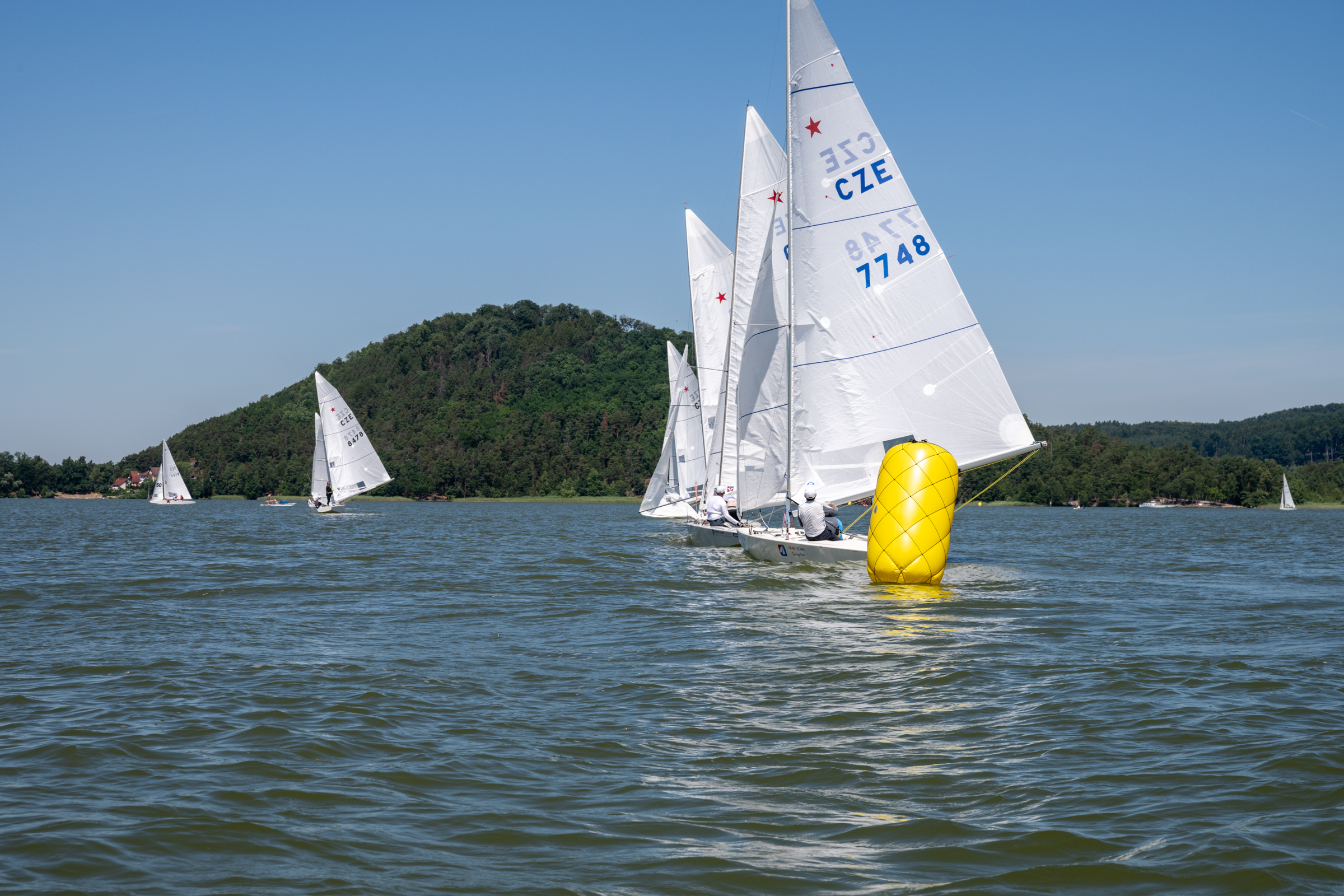 DSC_0612.jpg