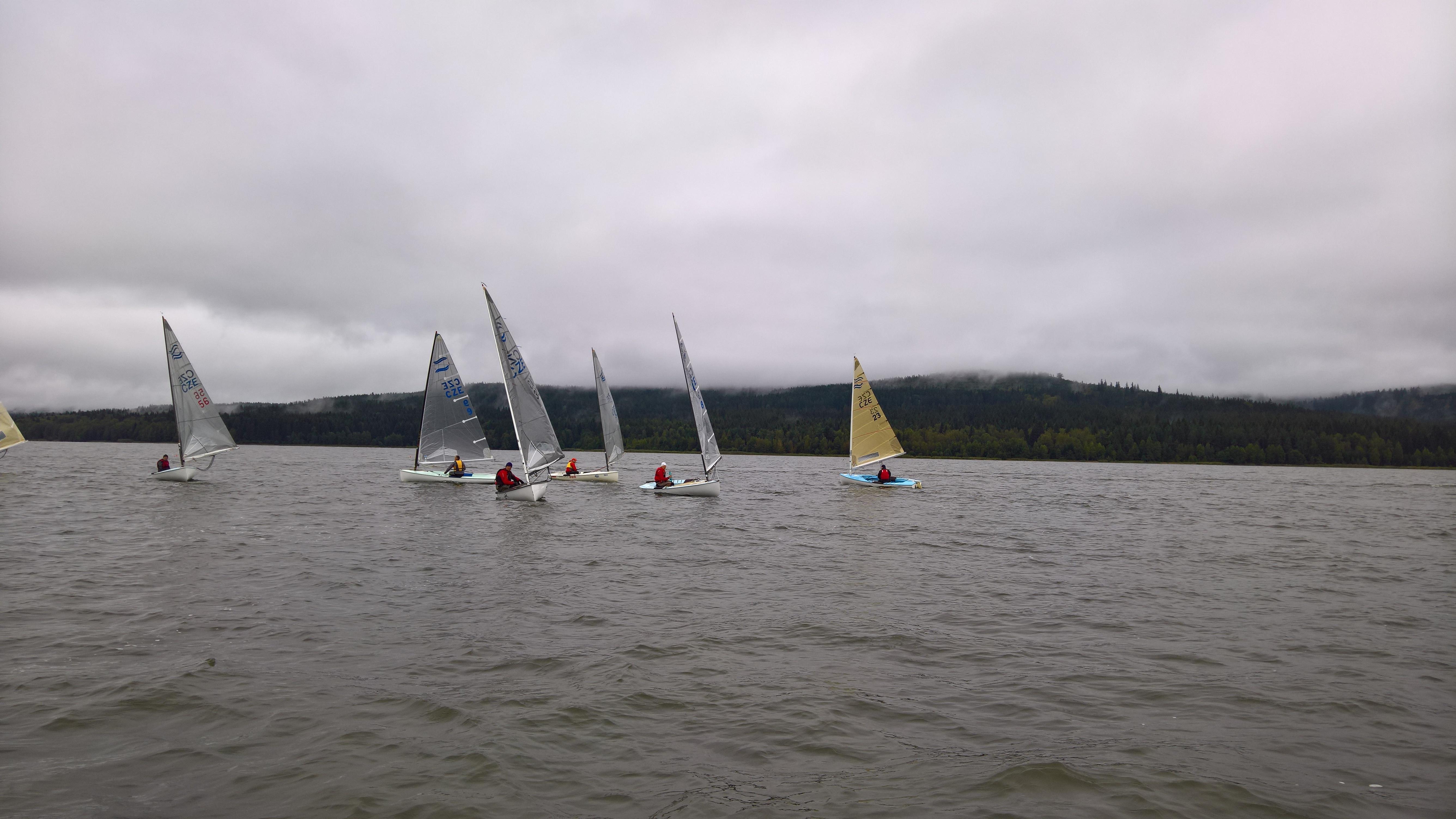 WP_20180901_11_04_18_Pro.jpg