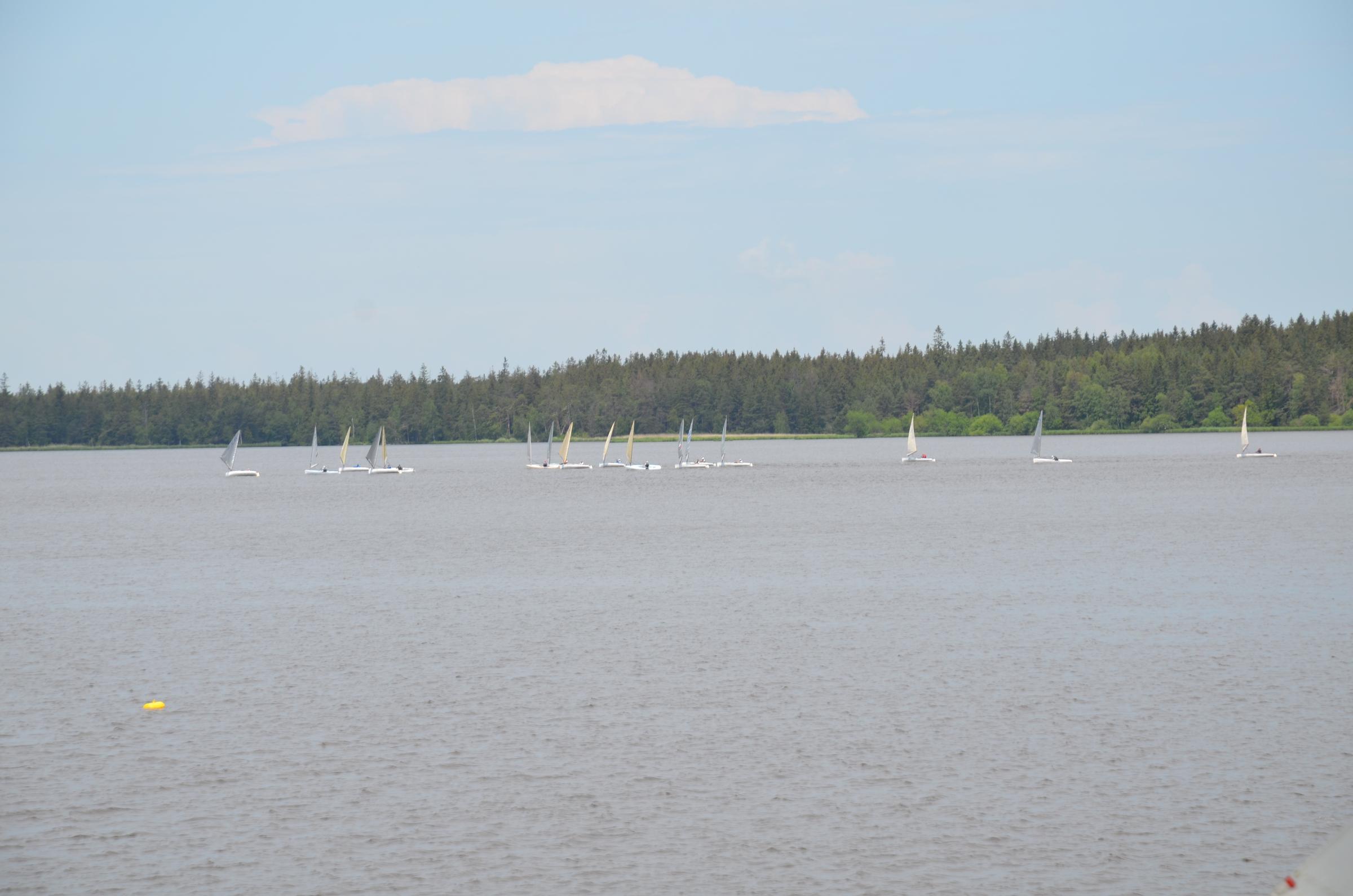 DSC_1622.JPG